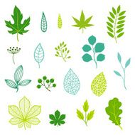 Set of green leaves and elements