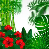 Tropical floral design background N2