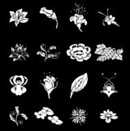 Floral Icon Set Series Design Elements N2