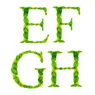 alphabet letters made from spring green leaves Vector illustration N7