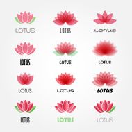 Vector lotus flowers design for spa yoga class resort N3