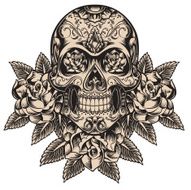 Detailed skull illustration