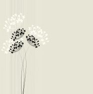 Floral background N658