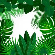 Tropical leaves Floral design background N6
