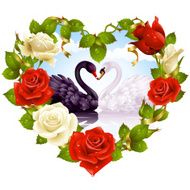 Roses and couple Swan