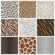 Seamless animal background pattern