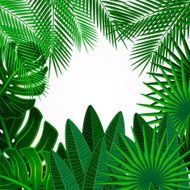 Tropical leaves Floral design background N7