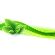 Eco banner with wave and leaves