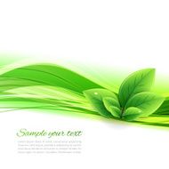 Eco banner with wave and leaves N2