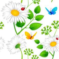 Chamomile seamless background N3