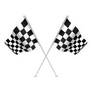 Racing flag (checkered flag) Vector illustration
