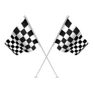 Racing flag (checkered flag) Vector illustration