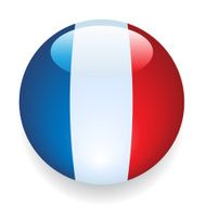 World Flag Button France
