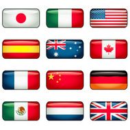 Popular Flags N2