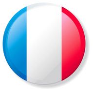 Flag Lapel Button - French