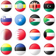 Flag Lapel Button - Global Set