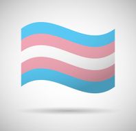 Transgender flag N2