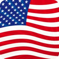 1-credit American flag button (vector)