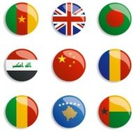 1World Flag Buttons