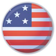 USA flag button vector