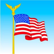 American Flag N50