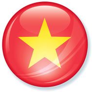 Vietnam Super Glossy Flag