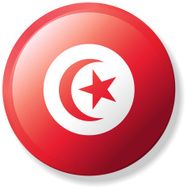 Tunisia Lapel Flag REQUEST