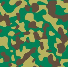 Camouflage Pattern in Aussie Green free image download