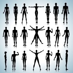 Anatomy silhouettes