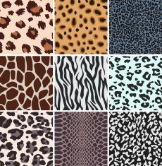 animal skin pattern design