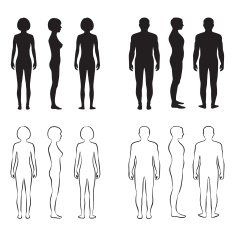 Human Body Anatomy N6