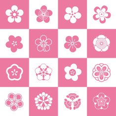 Petal patterns of plum blossom