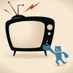 Watch Your Favorite TV Shows