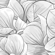 Beautiful monochrome black and white seamless background with magnolia