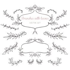 Elegant floral elements with branches and leaves N8