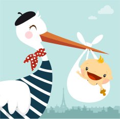 French stork and baby Babyshower illustration vector cute