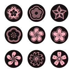 sakura flower set