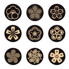 sakura flower set N2