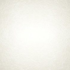 Vector paper background N2