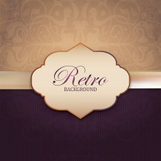 Vintage Frame with damask lace pattern N6