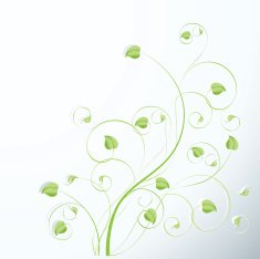 Abstract green branch