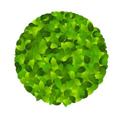 Green eco friendly label from leaves Vector illustration N3
