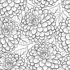 Beautiful monochrome black and white seamless background with flowers dahlia N4