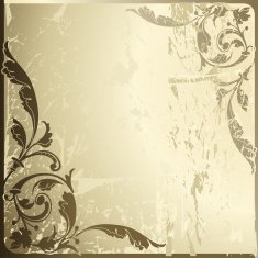 olden N6