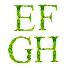 alphabet letters made from spring green leaves Vector illustration N7