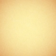 Vintage Paper Texture N2