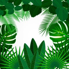 Tropical leaves Floral design background N6