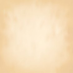 Abstract brown background old paper N2