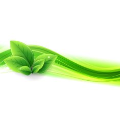 Eco banner with wave and leaves