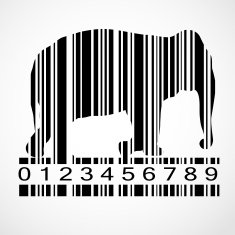 Barcode elephant image vector illustration